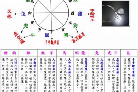 2003五行属什么|2003年属羊五行属什么 属羊2003杨柳木命详解